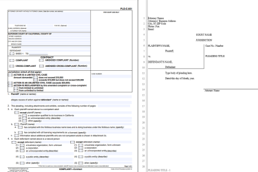 Complaint - Consumer Debt