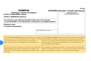 Highlight of Form FL-210 showing Notice to Respondent