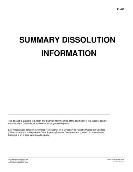 View FL-810 Summary Dissolution Information form