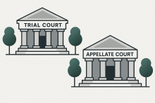Illustration of a trial court and an appellate court, each shown as classical buildings with columns and trees.